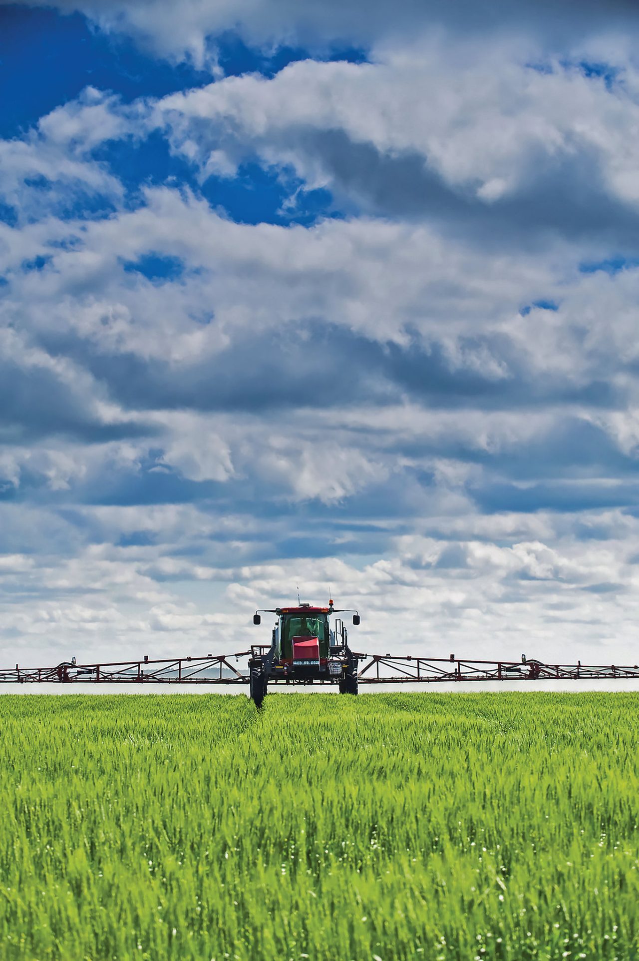 a high clearance sprayer gives a ground chemical application of fungicide to mid-growth wheat, near Dugald, Manitoba, Canada