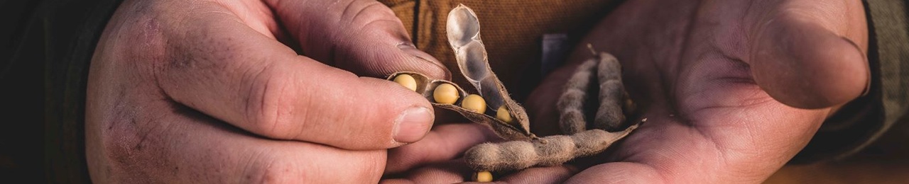Grower holding seed pods